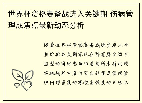 世界杯资格赛备战进入关键期 伤病管理成焦点最新动态分析